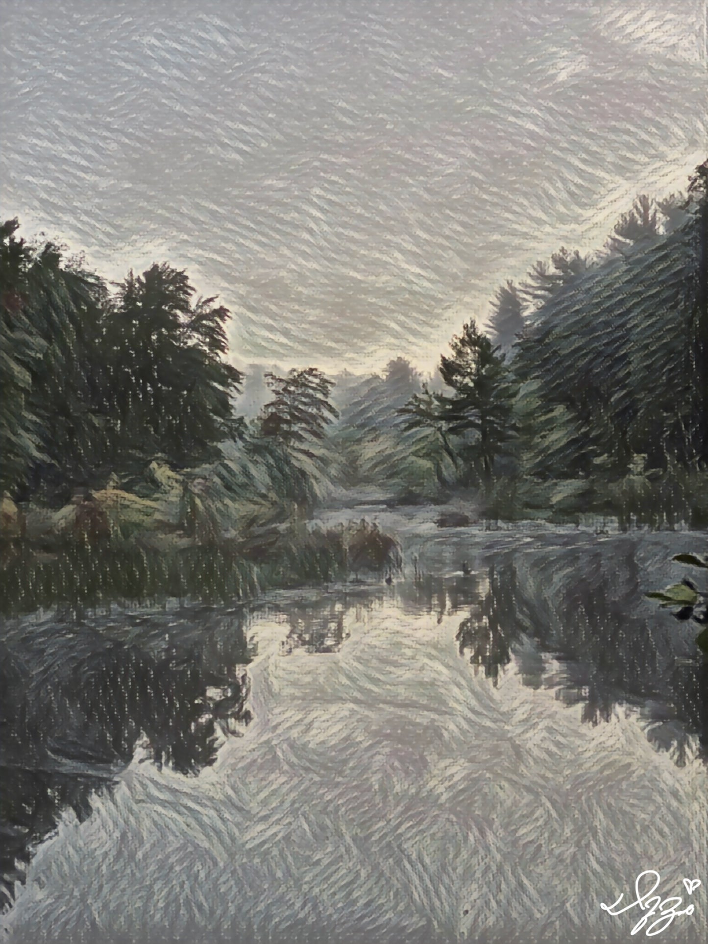 Big Island Pond Coaster Set: When Nature Holds Its Breath