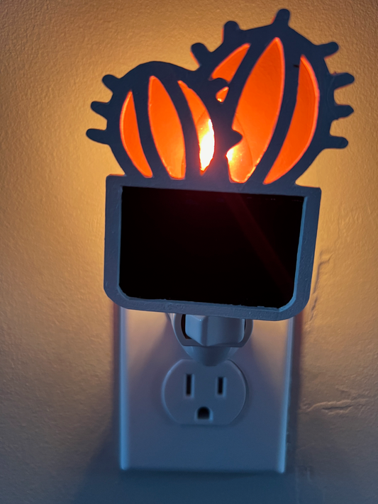 Desert Glow Series: Orange Succulent Nightlight