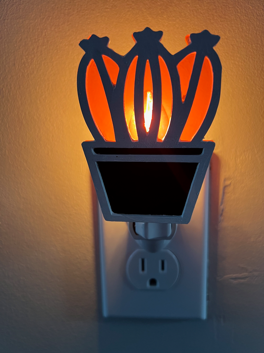 Desert Glow Series: Orange Succulent Nightlight 3
